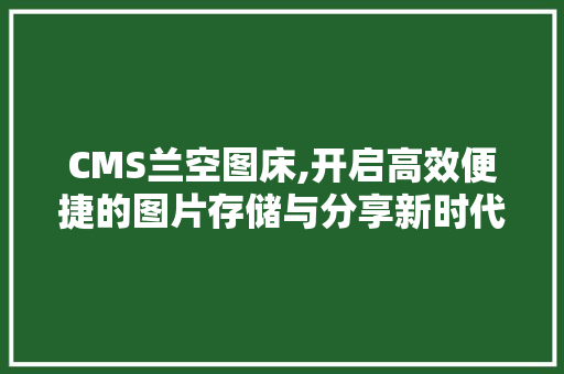 CMS兰空图床,开启高效便捷的图片存储与分享新时代 必应SEO