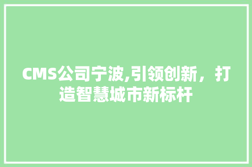 CMS公司宁波,引领创新，打造智慧城市新标杆