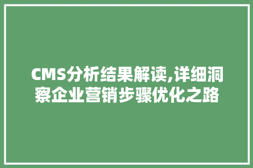 CMS分析结果解读,详细洞察企业营销步骤优化之路 SEO关键词