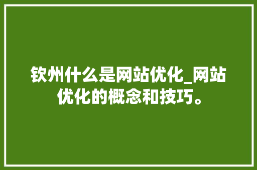钦州什么是网站优化_网站优化的概念和技巧。