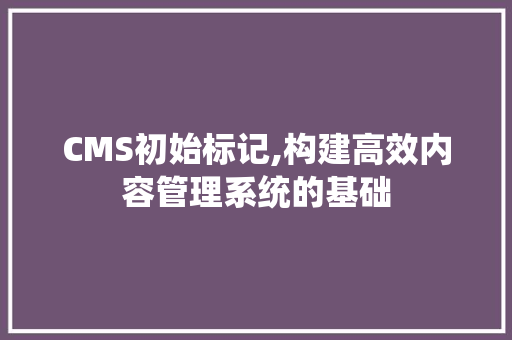 CMS初始标记,构建高效内容管理系统的基础 必应SEO