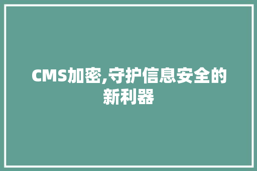 CMS加密,守护信息安全的新利器 必应SEO