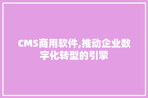 CMS商用软件,推动企业数字化转型的引擎 SEO关键词