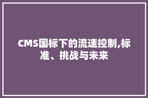 CMS国标下的流速控制,标准、挑战与未来