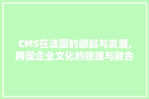 CMS在法国的崛起与发展,跨国企业文化的碰撞与融合
