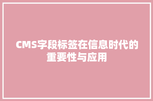 CMS字段标签在信息时代的重要性与应用