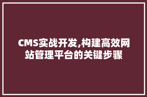 CMS实战开发,构建高效网站管理平台的关键步骤 神马SEO