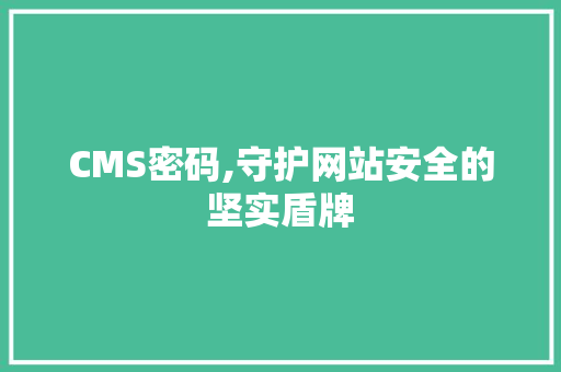 CMS密码,守护网站安全的坚实盾牌 网站建设公司