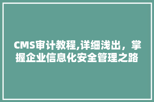 CMS审计教程,详细浅出，掌握企业信息化安全管理之路 必应SEO