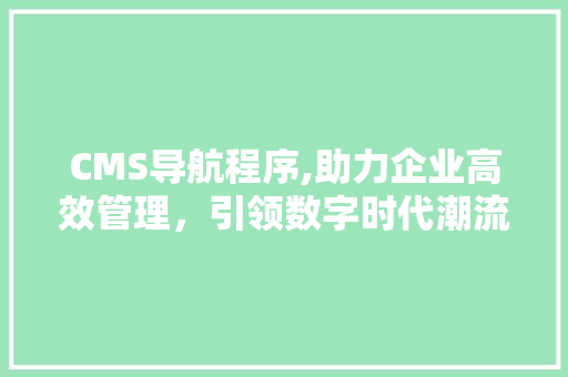 CMS导航程序,助力企业高效管理，引领数字时代潮流 必应SEO