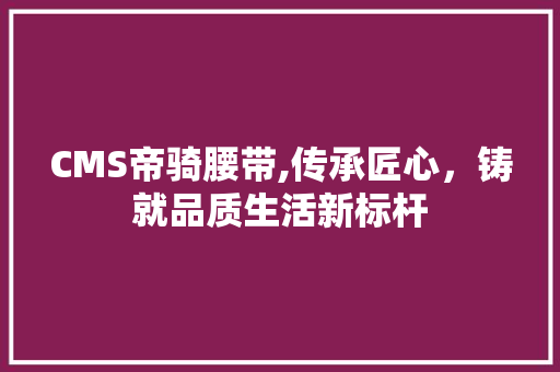 CMS帝骑腰带,传承匠心，铸就品质生活新标杆