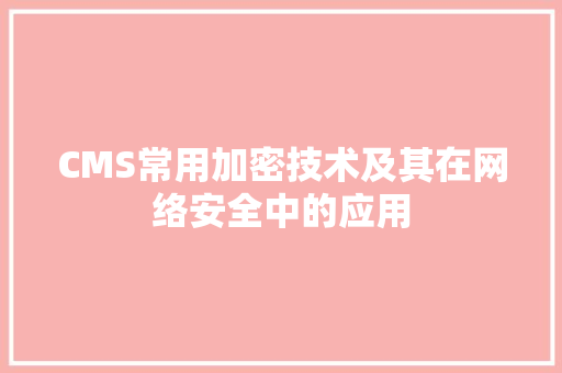 CMS常用加密技术及其在网络安全中的应用 网站建设公司