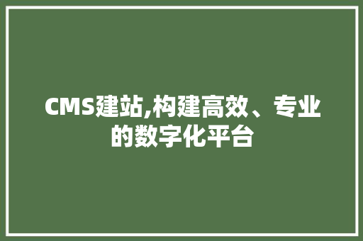CMS建站,构建高效、专业的数字化平台