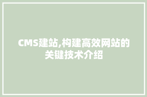 CMS建站,构建高效网站的关键技术介绍