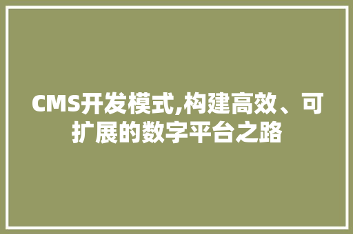 CMS开发模式,构建高效、可扩展的数字平台之路 百度SEO