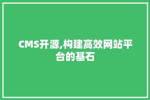 CMS开源,构建高效网站平台的基石 百度SEO