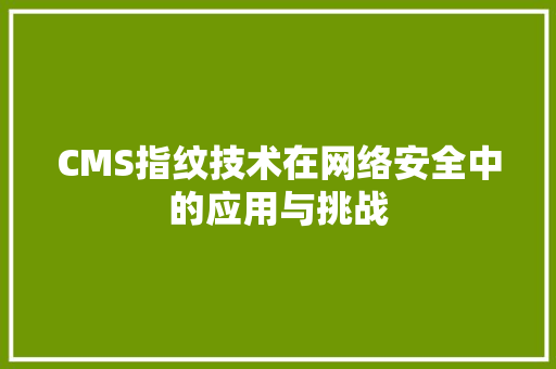 CMS指纹技术在网络安全中的应用与挑战 网站建设公司