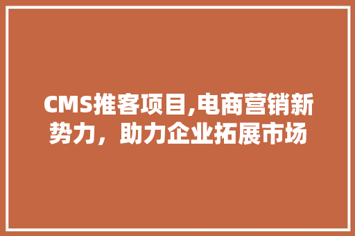 CMS推客项目,电商营销新势力，助力企业拓展市场 网站建设公司