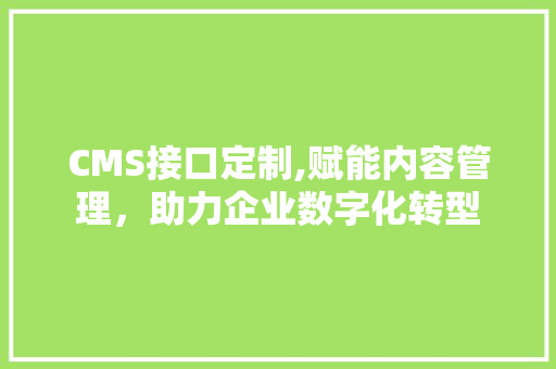 CMS接口定制,赋能内容管理，助力企业数字化转型 SEO关键词