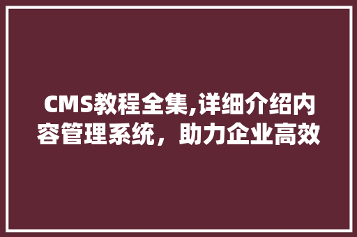 CMS教程全集,详细介绍内容管理系统，助力企业高效运营 百度SEO