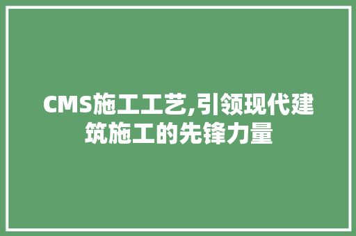 CMS施工工艺,引领现代建筑施工的先锋力量