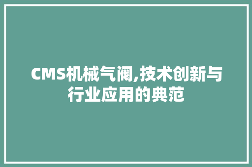CMS机械气阀,技术创新与行业应用的典范 SEO关键词