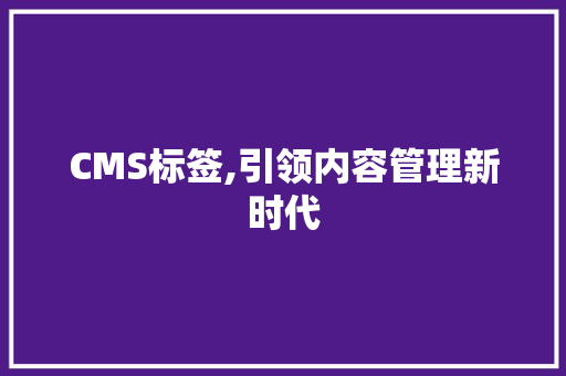 CMS标签,引领内容管理新时代 网站建设公司