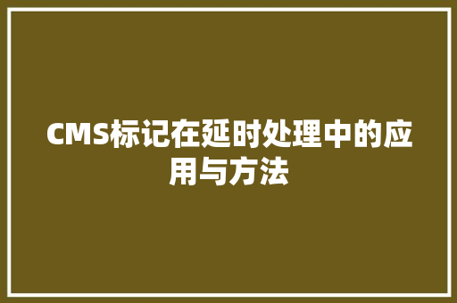 CMS标记在延时处理中的应用与方法 必应SEO