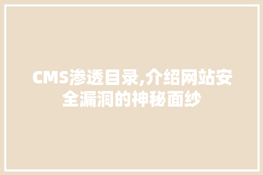 CMS渗透目录,介绍网站安全漏洞的神秘面纱 必应SEO