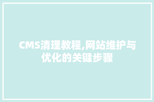CMS清理教程,网站维护与优化的关键步骤 百度SEO