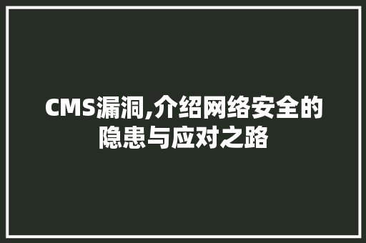 CMS漏洞,介绍网络安全的隐患与应对之路 搜狗SEO