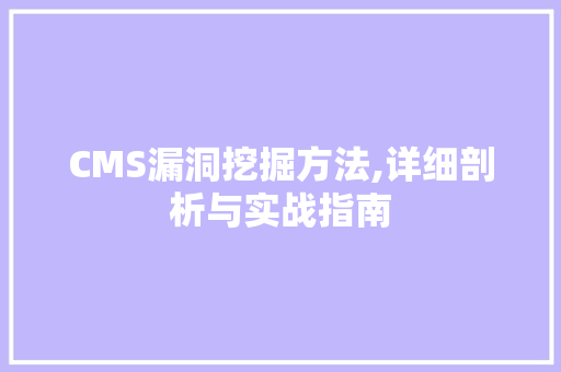 CMS漏洞挖掘方法,详细剖析与实战指南 必应SEO