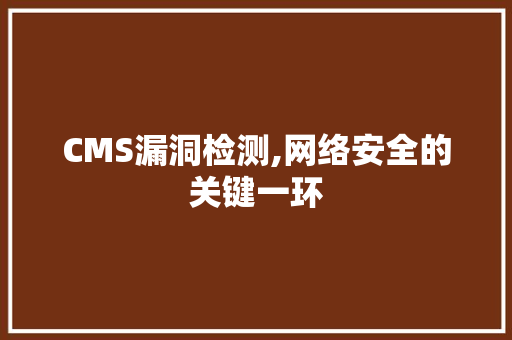 CMS漏洞检测,网络安全的关键一环 网站建设公司