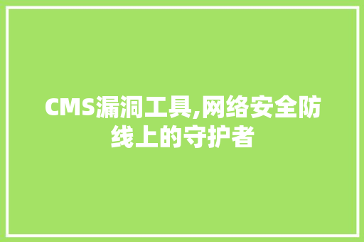 CMS漏洞工具,网络安全防线上的守护者 百度SEO
