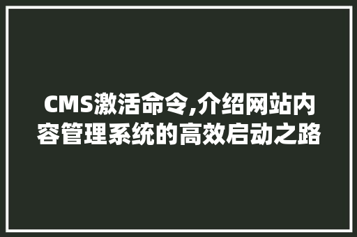 CMS激活命令,介绍网站内容管理系统的高效启动之路 神马SEO