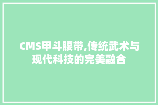 CMS甲斗腰带,传统武术与现代科技的完美融合 神马SEO