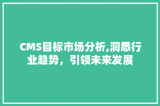CMS目标市场分析,洞悉行业趋势，引领未来发展 必应SEO
