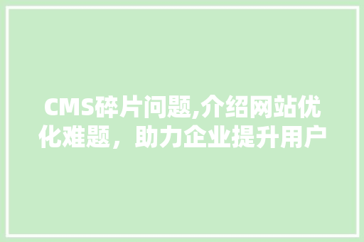 CMS碎片问题,介绍网站优化难题，助力企业提升用户体验