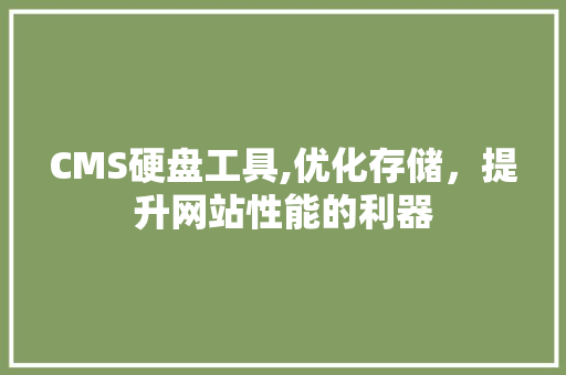 CMS硬盘工具,优化存储，提升网站性能的利器 百度SEO