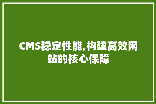CMS稳定性能,构建高效网站的核心保障 百度SEO