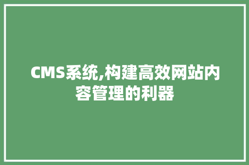 CMS系统,构建高效网站内容管理的利器 SEO关键词