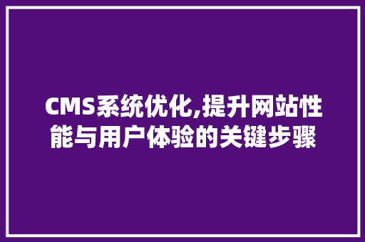CMS系统优化,提升网站性能与用户体验的关键步骤 SEO关键词