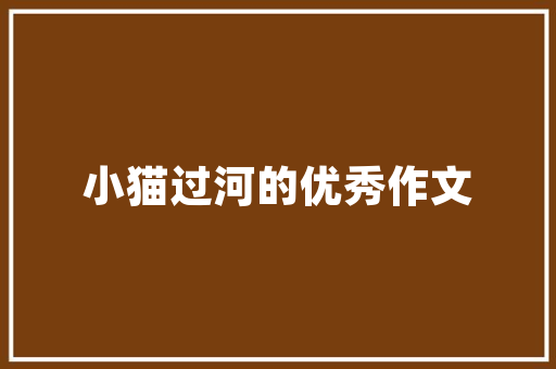 网站标签优化是什么意思_网站标签优化与首选域设定。