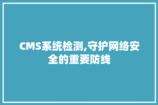 CMS系统检测,守护网络安全的重要防线 必应SEO