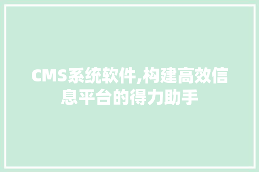 CMS系统软件,构建高效信息平台的得力助手 必应SEO