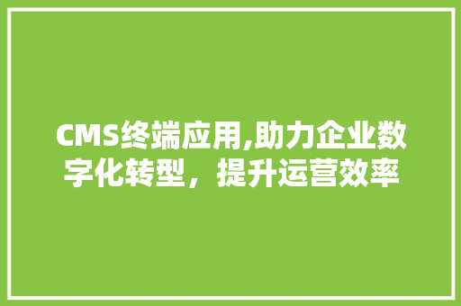 CMS终端应用,助力企业数字化转型，提升运营效率 必应SEO