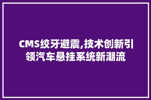 CMS绞牙避震,技术创新引领汽车悬挂系统新潮流 网站建设公司