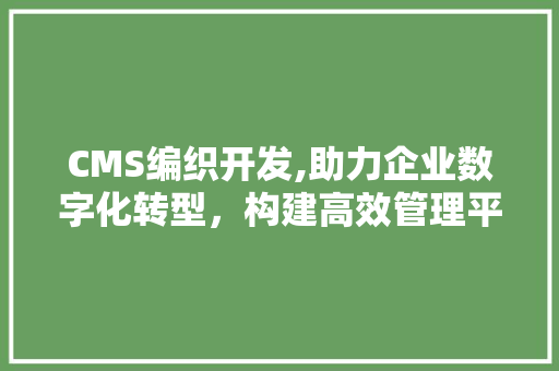CMS编织开发,助力企业数字化转型，构建高效管理平台 网站建设公司