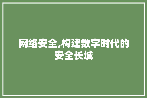 网络安全,构建数字时代的安全长城 网络安全,构建数字时代的安全长城 网站建设公司