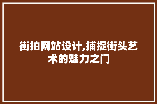 街拍网站设计,捕捉街头艺术的魅力之门